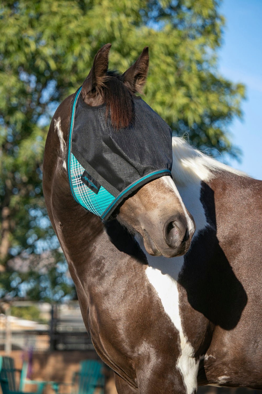 90% UV Fly Mask CatchMask UViator - Dual Ear Opening & Forelock Freedom - Kensington Protective Products - Equiluxe Tack