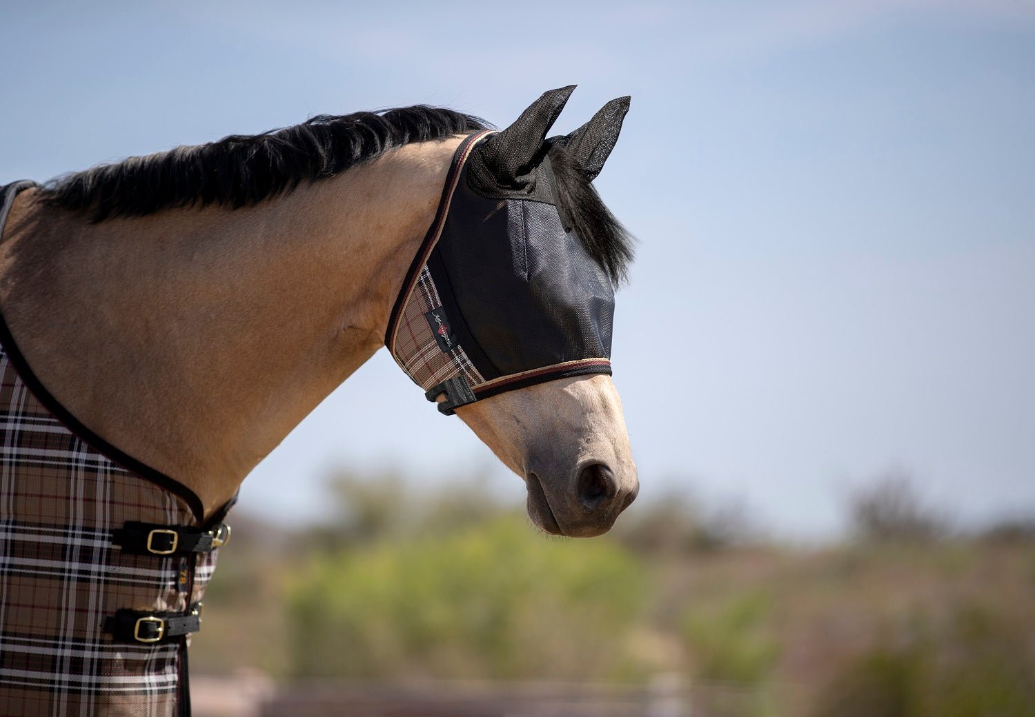 90% UV Fly Mask CatchMask UViator - Soft Mesh Ears & Forelock Opening - Kensington Protective Products - Equiluxe Tack