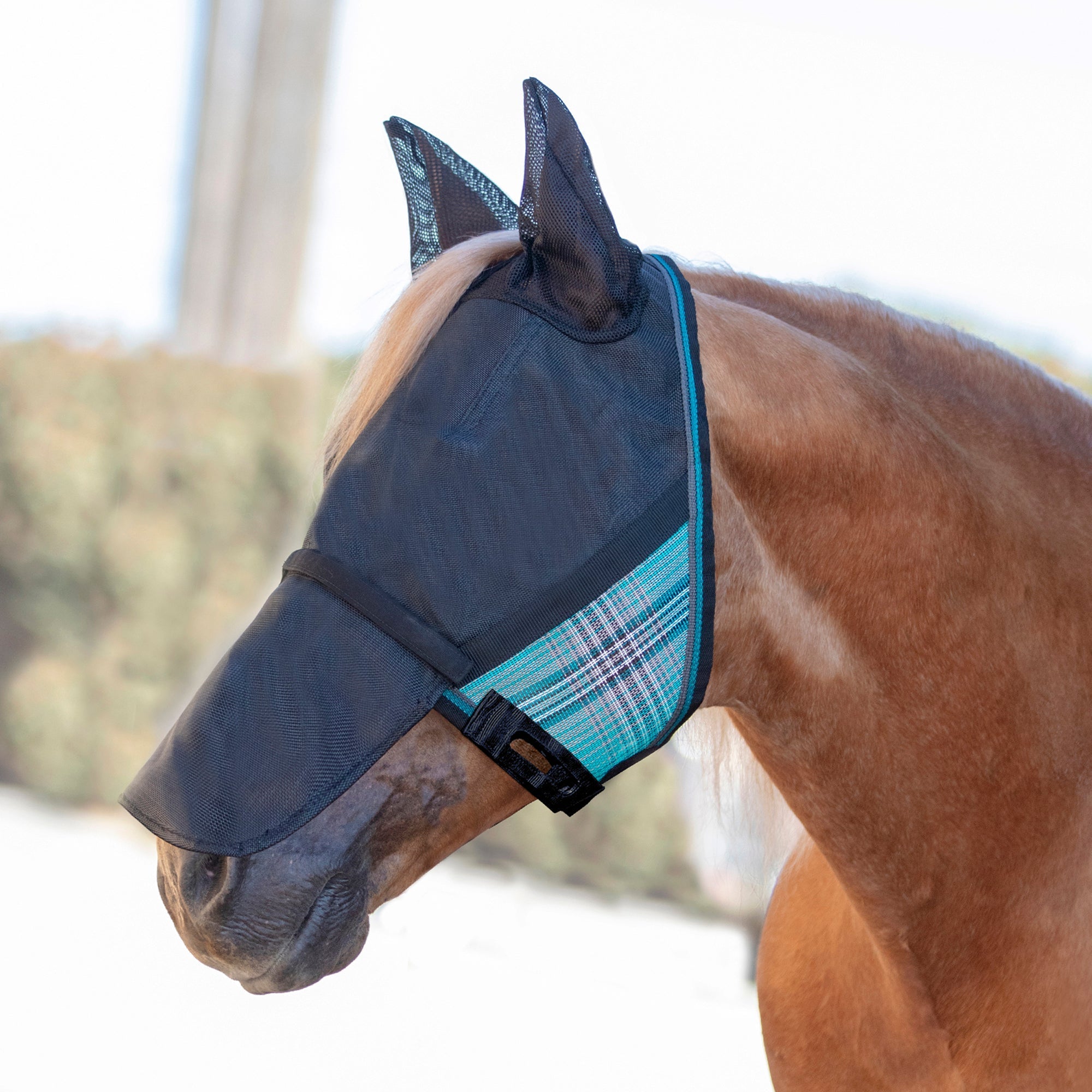 90% UV Fly Mask CatchMask UViator - Soft Mesh Ears, Removable Nose & Forelock Opening - Kensington Protective Products - Equiluxe Tack