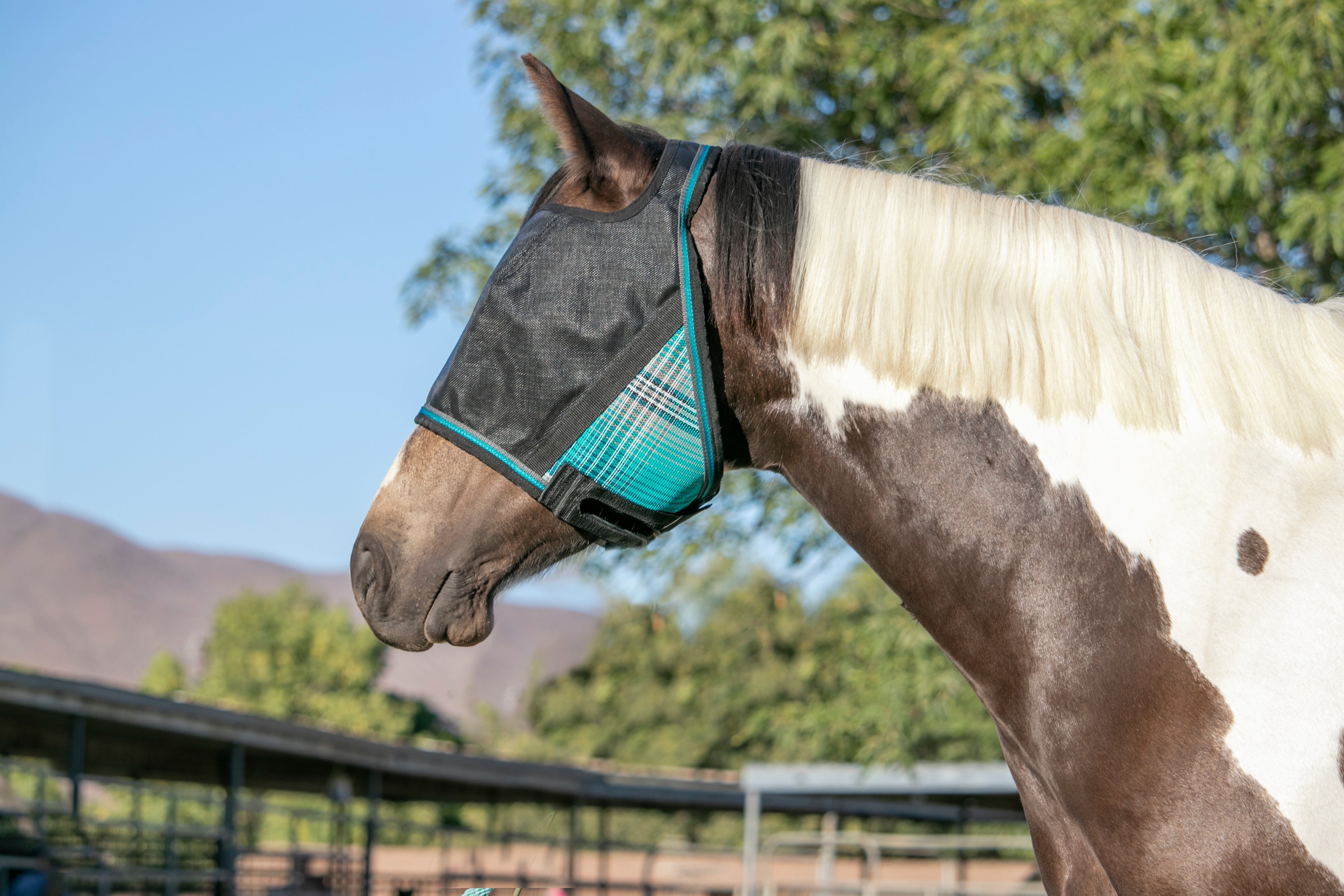 90% UV Fly Mask CatchMask UViator - without Ears & Forelock Freedom - Kensington Protective Products - Equiluxe Tack