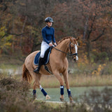 Blue Astra Saddle Pad Set