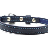 Limited Edition Light Blue Stitched Dog Collar