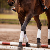 Anatomeq CoolSupport Combi Polos