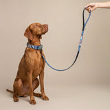 Halter Ego The Blossom Leather Dog Leash
