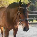 Halter Ego The "Carmel" Brown Leather Anatomical Snaffle Bridle