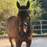 Halter Ego The "Carmel" Brown Leather Anatomical Snaffle Bridle