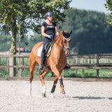 Champagne Saddle Pad Set