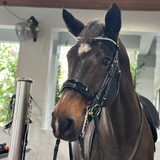 Halter Ego The Diamante Black Patent Sparkle Double Bridle
