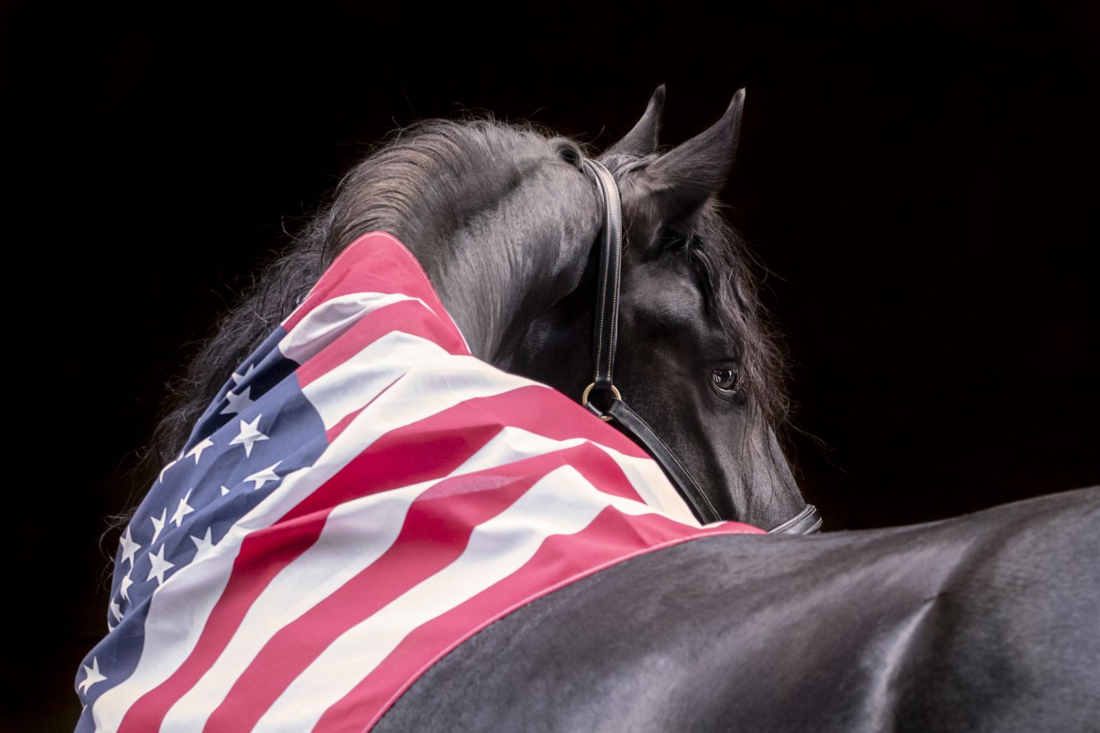Happy 4th of July! 15% Off Site-wide