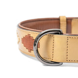 Halter Ego Gilded Solstice Leather Dog Collar
