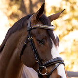 Halter Ego Milan - Black Leather Snaffle Bridle with Burnished Gold Piping