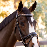 Halter Ego Milan - Black Leather Snaffle Bridle with Burnished Gold Piping