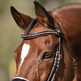 Halter Ego Florentina - Brown Patent Leather Snaffle with Cream Padding & Rose Gold Piping