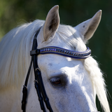 Halter Ego Petra Leather Snaffle Bridle