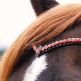 Masego Horsewear Cherry Diamond Browband