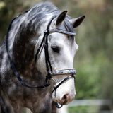 Halter Ego Limited Edition Venetian Snaffle Bridle