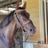 Halter Ego The Sun King Brown Patent Leather Snaffle Bridle