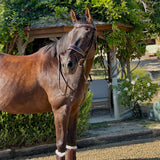 Halter Ego The Sun King Brown Patent Leather Snaffle Bridle