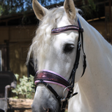 Halter Ego Limited Edition Cosmotini Snaffle Bridle