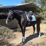 Halter Ego European Cotton Dressage Saddle Pad - Light Blue with Crystals & Light Blue/Silver Twisted Rope Trim