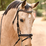 Halter Ego The Vienna Brown Patent Leather Snaffle Bridle with Bronze Golden Sparkle Piping