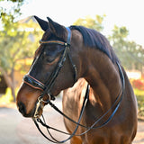 Halter Ego The Umbria Rolled Black Patent Leather Double Bridle