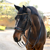 Halter Ego The Umbria Rolled Black Patent Leather Double Bridle