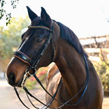 Halter Ego The Umbria Rolled Black Patent Leather Double Bridle