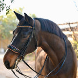 Halter Ego The Umbria Rolled Black Patent Leather Double Bridle