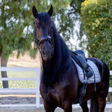 Halter Ego Ocala Black Patent Leather Snaffle Bridle With Removable Flash