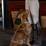 Halter Ego Gilded Solstice Leather Dog Collar