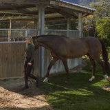 Solid Citizen Equestrian Mel Mock Neck | Feather Air | Long Sleeve Schooling Top | Olive