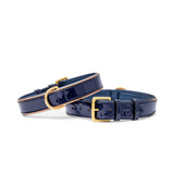 Halter Ego Revolution Patent Blue Leather Dog Collar