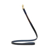 Halter Ego Revolution Blue Patent Leather Dog Leash