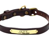 Classic Dog Collar (690)