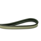 Halter Ego Sea Glass Leather Dog Leash