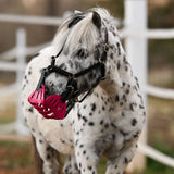 GG Equine GreenGuard Mini & Small Pony Halters