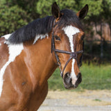 Equiluxe Fancy Stitched Figure 8 English Bridle w/ Rubber Rein - Equiluxe Tack - Equiluxe Tack