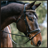 Halter Ego Geneva - Black Patent Snaffle Bridle with Metallic Gold Piping