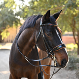 Halter Ego The Tuscany Black Patent Leather Double Bridle