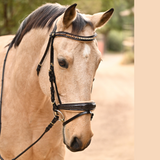 Halter Ego The Vienna Brown Patent Leather Snaffle Bridle with Bronze Golden Sparkle Piping