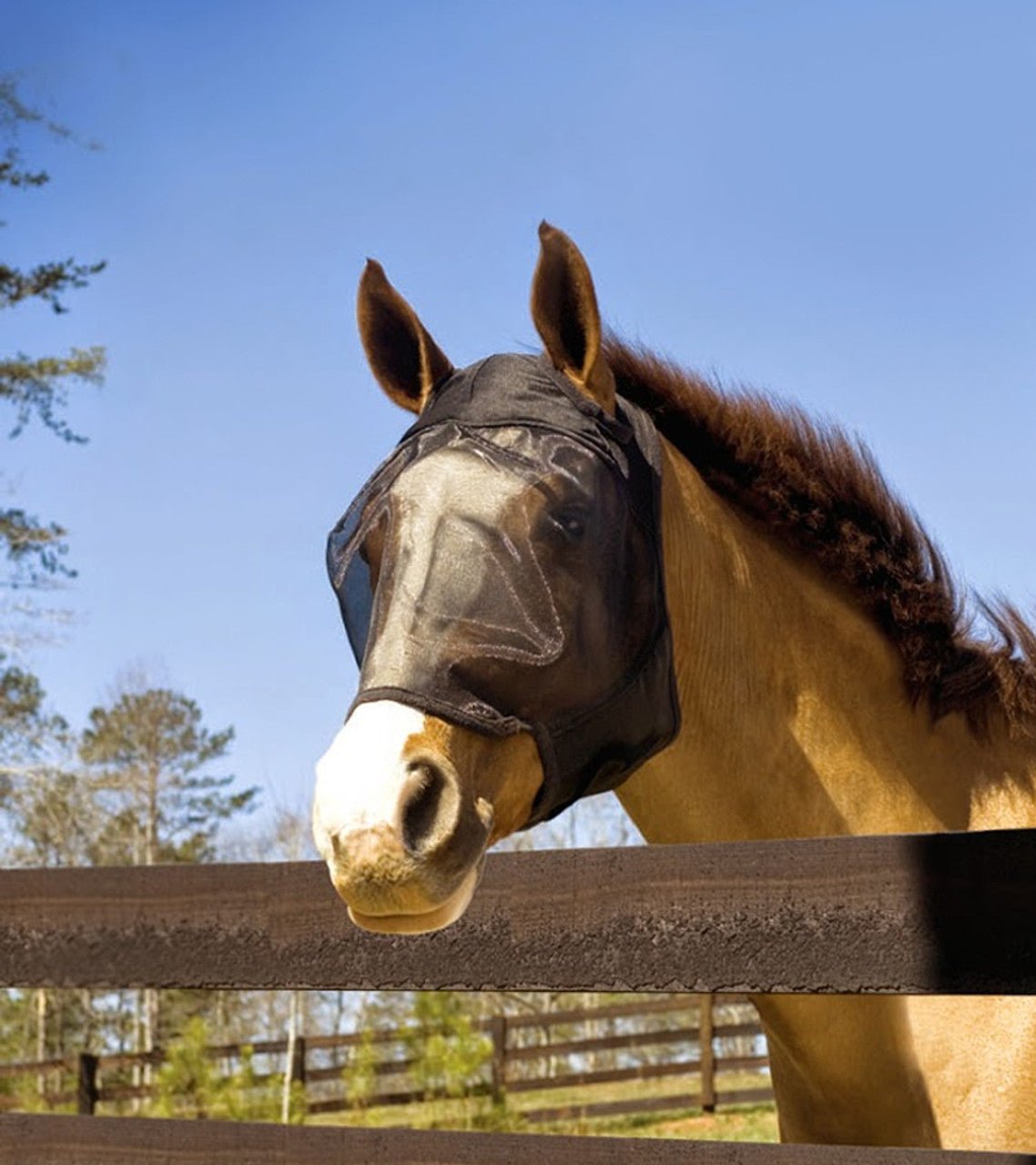 Absorbine® UltraShield® Fly Mask Without Ears - Absorbine - Equiluxe Tack