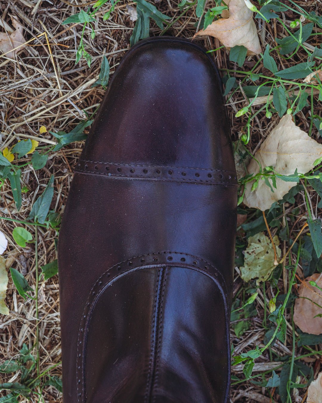 Alberto Fasciani Brown Standard Riding Boots (Size 35 - 39) - Alberto Fasciani - Equiluxe Tack
