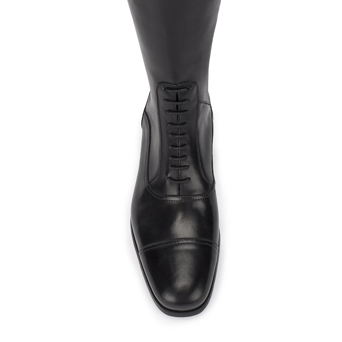 Alberto Fasciani Standard Riding Boots (Sizes 40 - 46) - Alberto Fasciani - Equiluxe Tack