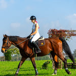 Alberto Fasciani Urbino Lim Vegan Black Riding Boots Sizes 40 - 45) - Alberto Fasciani - Equiluxe Tack