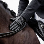 Alessandro Albanese Platinum Glove - Horseware Ireland - Equiluxe Tack