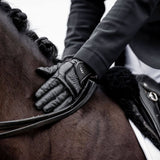 Alessandro Albanese Platinum Glove - Horseware Ireland - Equiluxe Tack