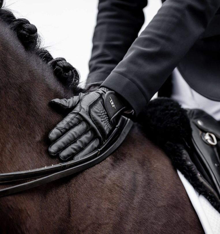 Alessandro Albanese Platinum Glove - Horseware Ireland - Equiluxe Tack