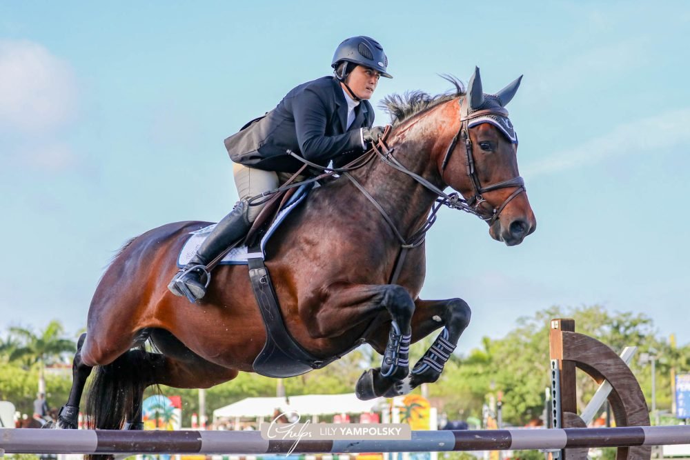 American Equus "Elite" English Stirrups Illusion Black - American Equus - Equiluxe Tack