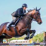 American Equus "Elite" English Stirrups Illusion Black - American Equus - Equiluxe Tack